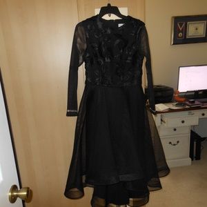 Womens dress